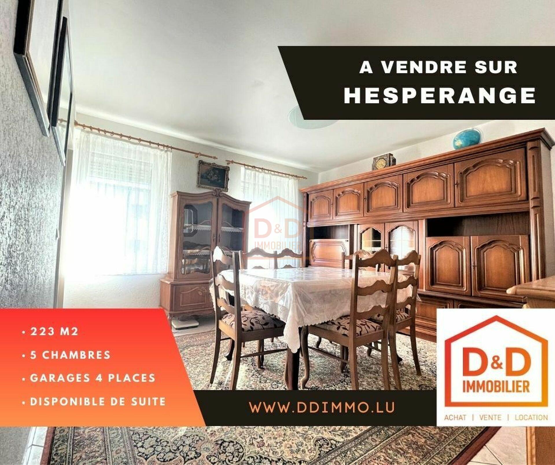 Maison à Hesperange, 223 m², 5 chambres, 2 salles de bain, 4 garages, 1 090 000 €