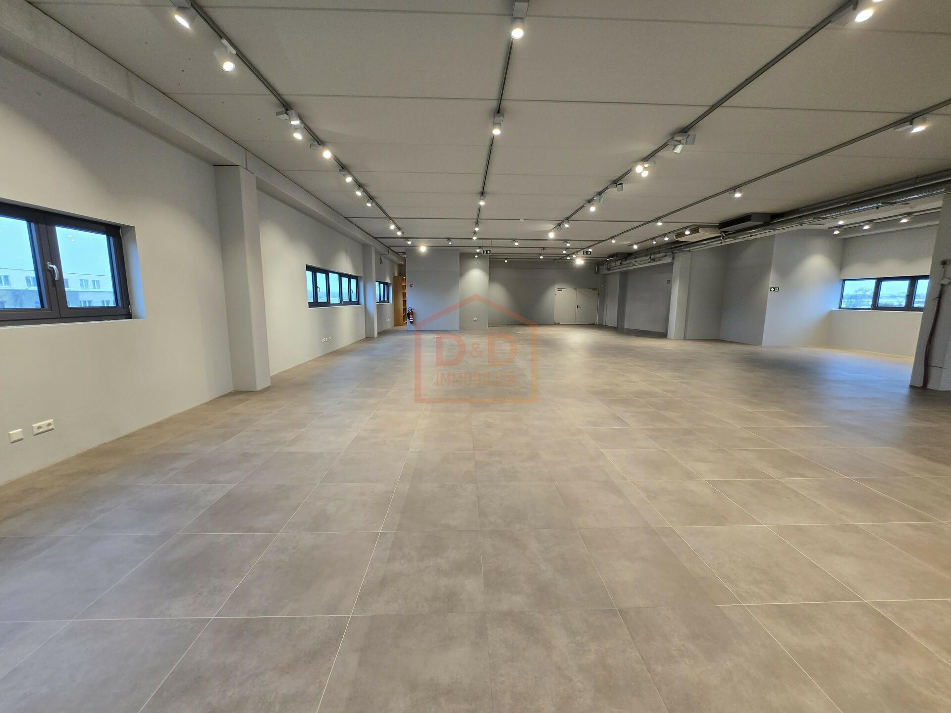 20250225_143050 mod.jpg